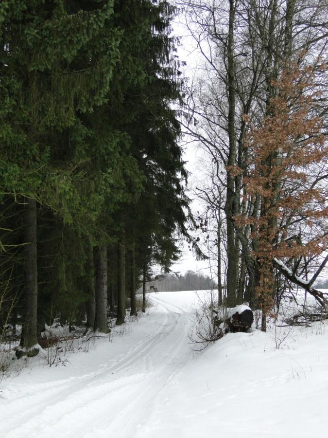 Agroturystyka Zywe Круклянкі Екстер'єр фото