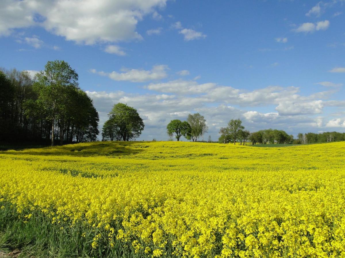 Agroturystyka Zywe Круклянкі Екстер'єр фото