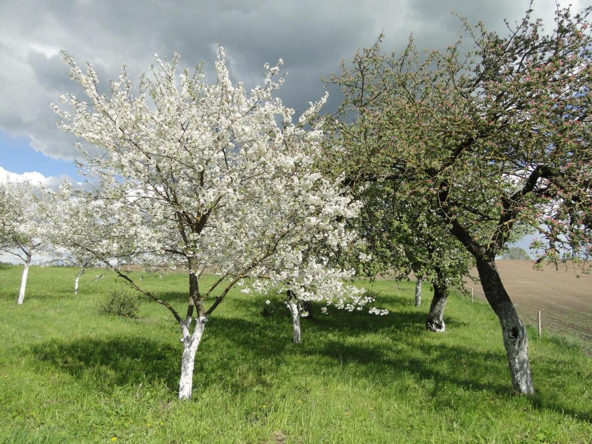 Agroturystyka Zywe Круклянкі Екстер'єр фото