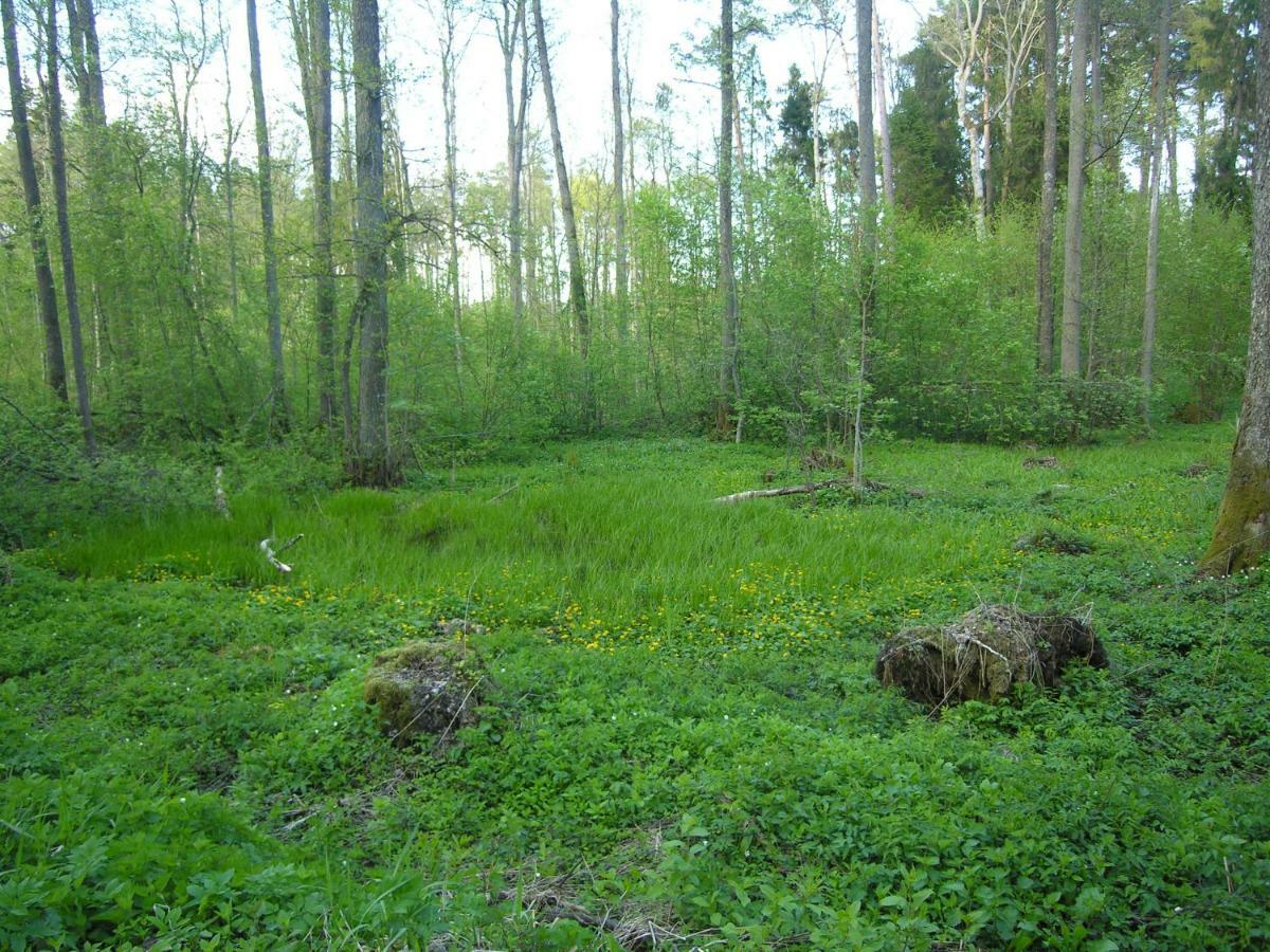 Agroturystyka Zywe Круклянкі Екстер'єр фото