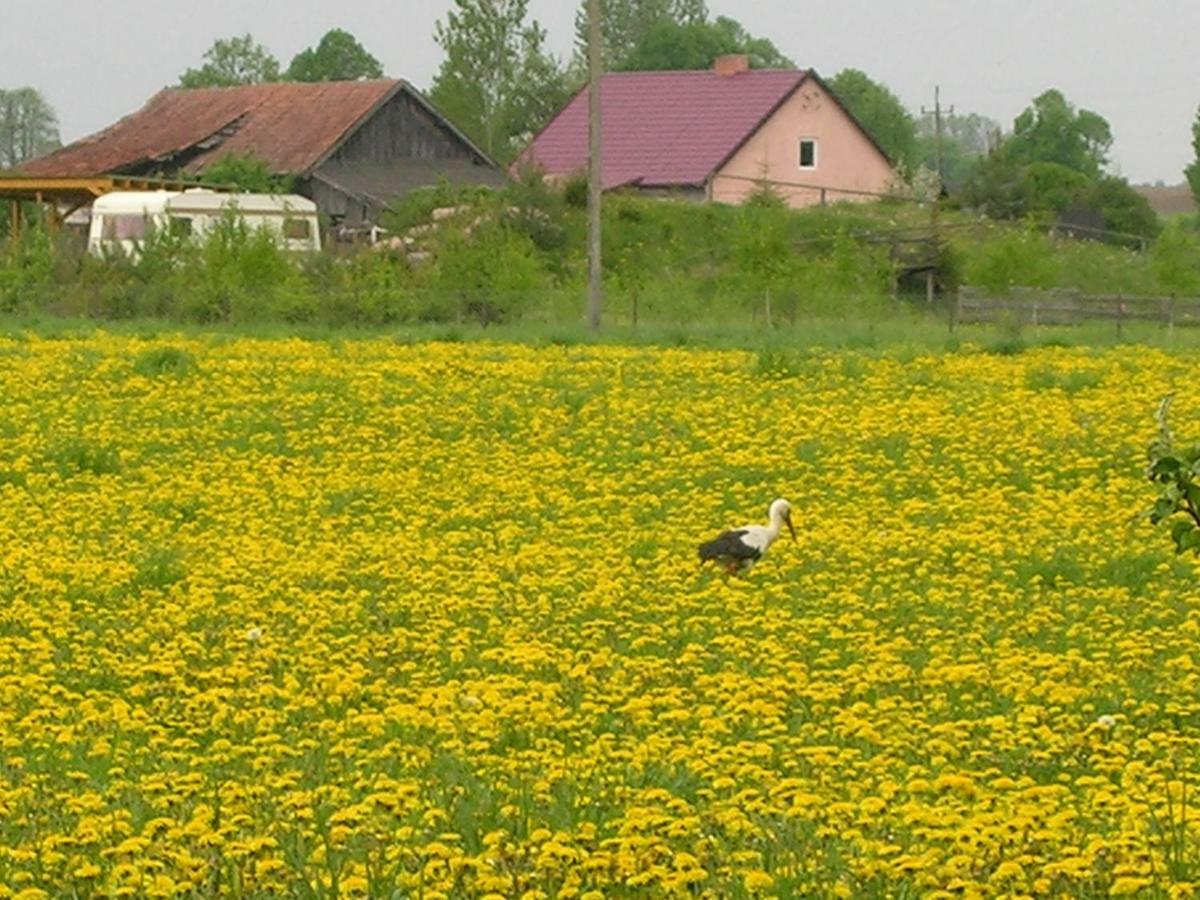 Agroturystyka Zywe Круклянкі Екстер'єр фото